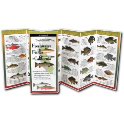 Folding Guide Fish California