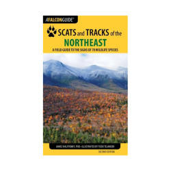 Scats & Tracks Of Northeast
