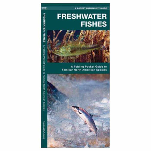 Freshwater Fishes Freshwater Fishes