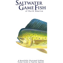 Saltwater Game Fish