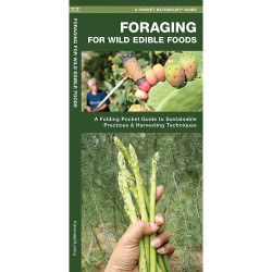 Foraging For Wild Edible Foods